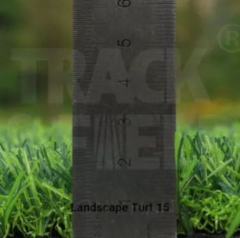 Sân cỏ phong cảnh 15