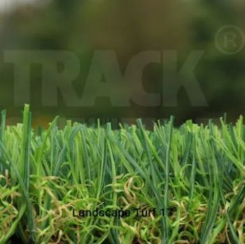 Sân cỏ phong cảnh 17